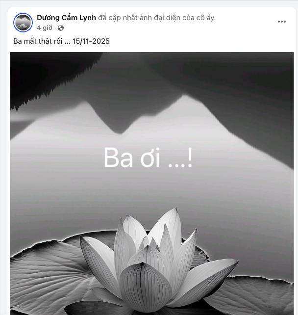 Loạt sao Việt vào chia buồn cùng Dương Cẩm Lynh- Ảnh 1.