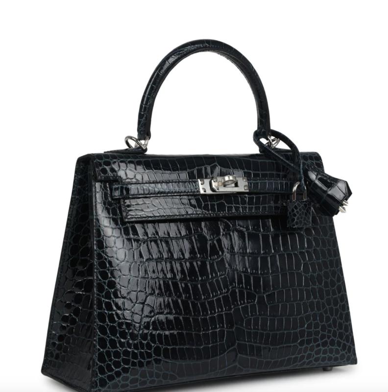 BST túi hàng hiệu của Đoàn Di Băng: Hermès đựng cún cưng, Dior và Chanel để đi chợ- Ảnh 23.