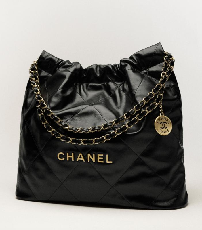 BST túi hàng hiệu của Đoàn Di Băng: Hermès đựng cún cưng, Dior và Chanel để đi chợ- Ảnh 35.