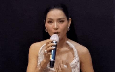 Sao nữ Vbiz bị fan chất vấn vì sao đang bão lũ mà mở họp báo MV: Có phương án đóng góp gì không?- Ảnh 1.