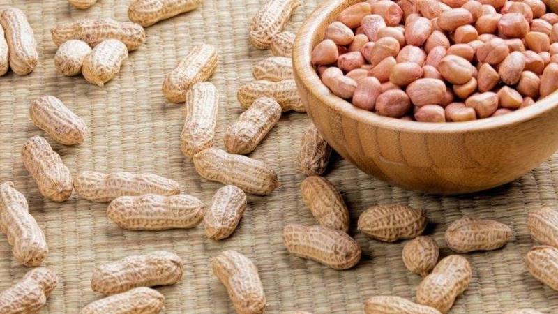 Người phụ nữ 56 tuổi mỗi ngày đều ăn 1 nắm lạc luộc, nửa năm đi khám, kết quả khiến bác sĩ bất ngờ- Ảnh 2.