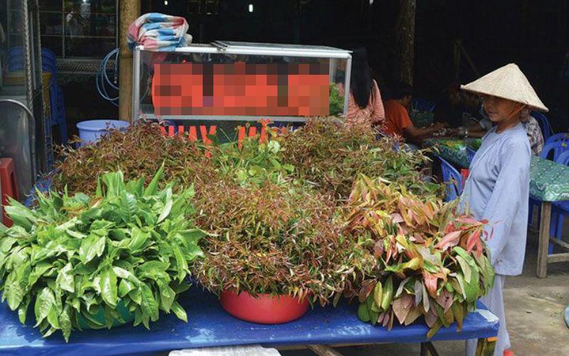Loại lá dân dã bị quên lãng, nay khiến thực khách săn lùng vì vị ngon "lạ thường"- Ảnh 4.
