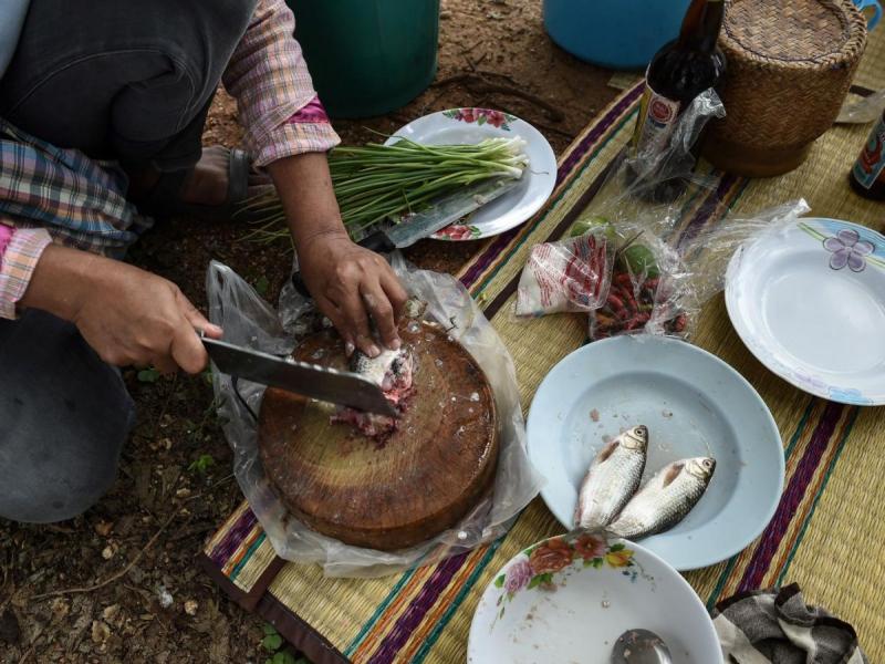 2 loại cá làm tăng nguy cơ mắc ung thư: Là món ‘khoái khẩu’ của nhiều người- Ảnh 1.