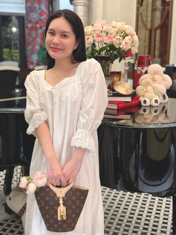 BST túi hàng hiệu của Đoàn Di Băng: Hermès đựng cún cưng, Dior và Chanel để đi chợ- Ảnh 29.