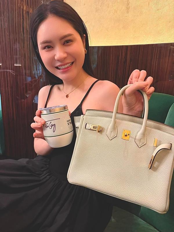 BST túi hàng hiệu của Đoàn Di Băng: Hermès đựng cún cưng, Dior và Chanel để đi chợ- Ảnh 13.