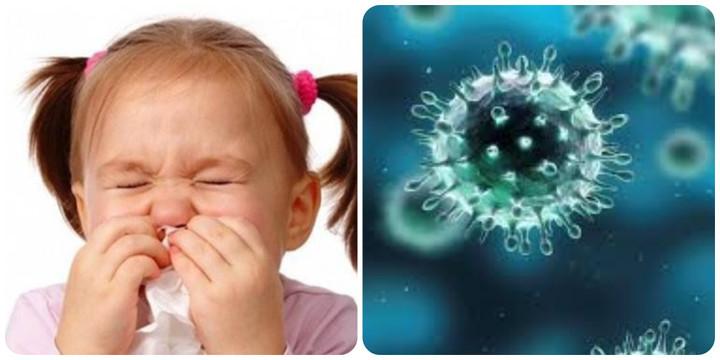 Hướng dẫn điều trị cúm A tại nhà an toàn và hiệu quả- Ảnh 1.