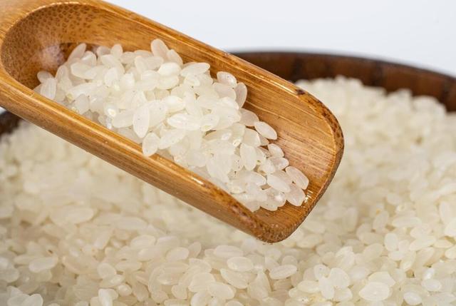 3 loại gạo đáng lẽ phải BỊ CẤM từ lâu, vậy mà nhiều người vẫn ăn- Ảnh 1.