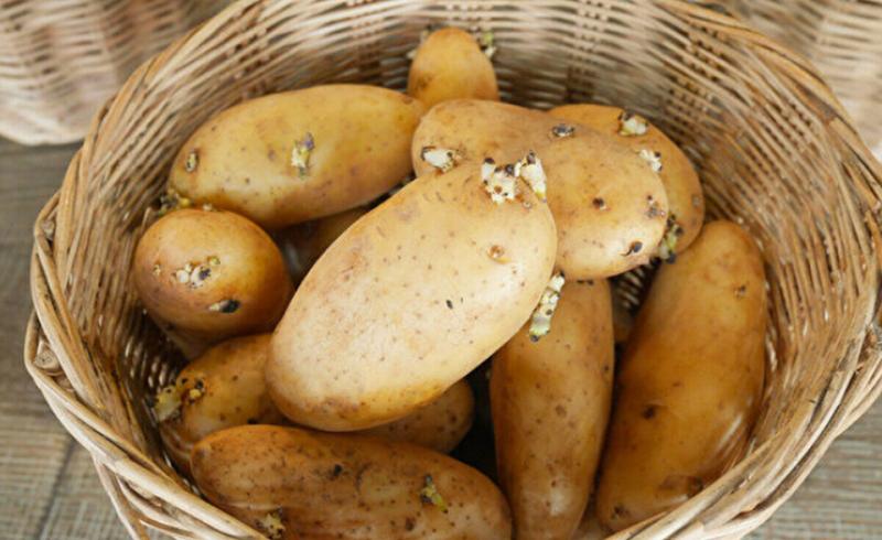 5 loại rau ăn nhiều "phá gan", ngon bổ mấy cũng hạn chế- Ảnh 3.