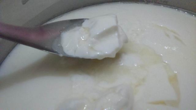 Sữa chua “tách nước” có phải đã hỏng?- Ảnh 1.
