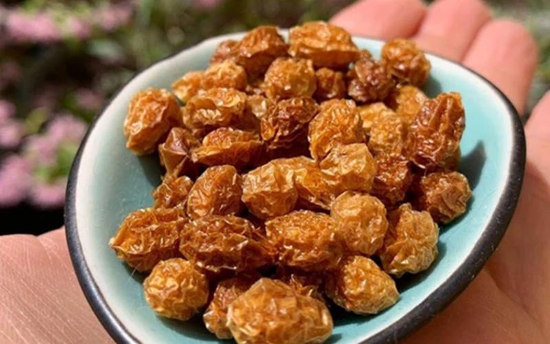 Cây “vô danh” bất ngờ thành đặc sản giá hơn 500 triệu đồng/kg, Việt Nam cũng đã trồng thành công- Ảnh 2.