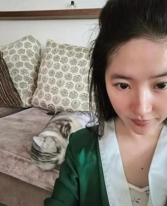 Đây mới là nhan sắc không giả dối của Lưu Diệc Phi- Ảnh 8.