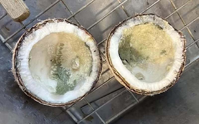 Người đàn ông 69 tuổi tuổi tử vong sau khi uống một ngụm nước dừa theo cách "vạn người mê"- Ảnh 1.