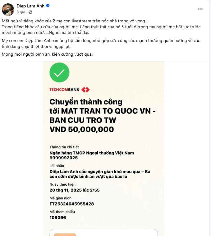 Trấn Thành - Hương Giang cùng dàn sao Việt đồng lòng hướng về người dân vùng lũ- Ảnh 7.