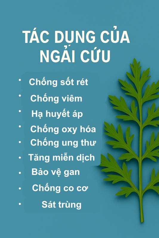 Loại rau được người Trung Quốc ví là "báu vật trời ban": Mọc đầy Việt Nam nhưng nhiều người chê không ăn- Ảnh 1.