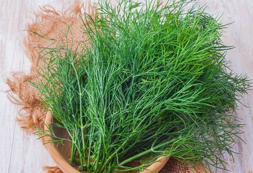Thì là - loại rau "nhỏ nhưng có võ’ với những lợi ích sức khỏe bất ngờ- Ảnh 3.
