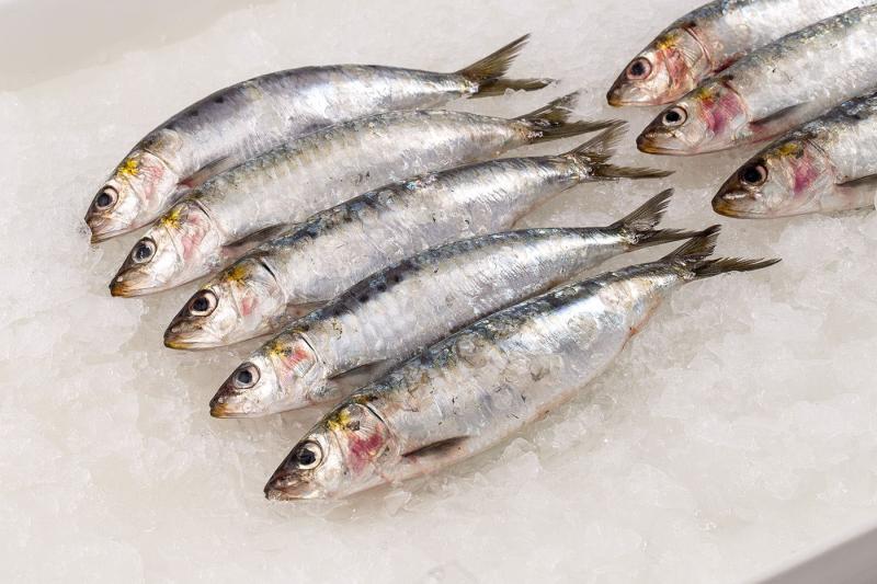 Loại cá là "siêu thực phẩm" giàu omega-3 giúp giảm mỡ nội tạng- Ảnh 1.