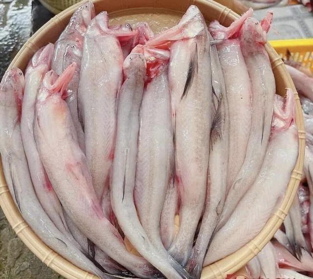 Loại cá thịt mềm như cháo, gặp nước là tan, người sành ăn nhìn thấy thì mua vội- Ảnh 1.