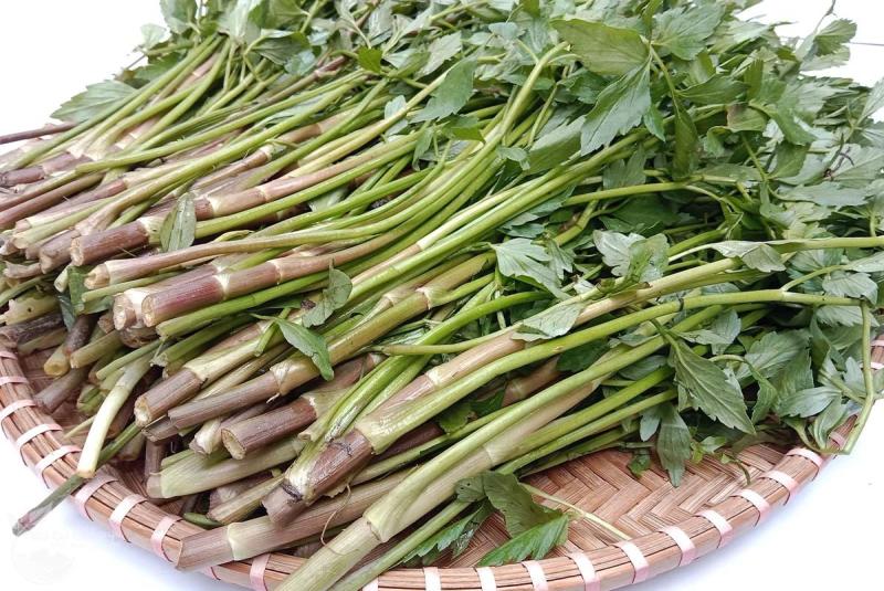 2 loại rau "khoái khẩu" mùa lạnh dễ thành ổ sán, nhất cái số 1 ngoài chợ bán nhiều- Ảnh 3.