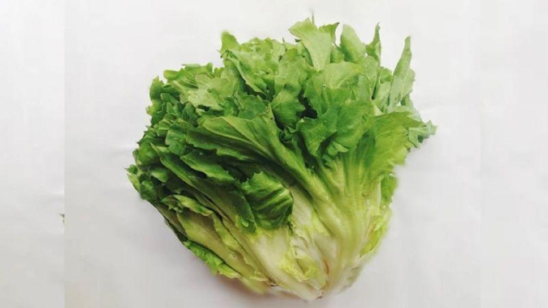 2 loại rau "khoái khẩu" mùa lạnh dễ thành ổ sán, nhất cái số 1 ngoài chợ bán nhiều- Ảnh 1.