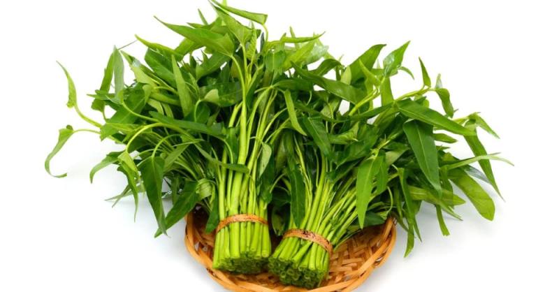 2 loại rau “khoái khẩu” mùa lạnh dễ thành ổ sán, đứng đầu bảng mâm cơm nhà nào cũng có- Ảnh 1.