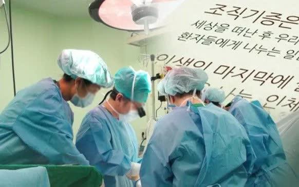 (Ảnh minh họa: Yonhap)
