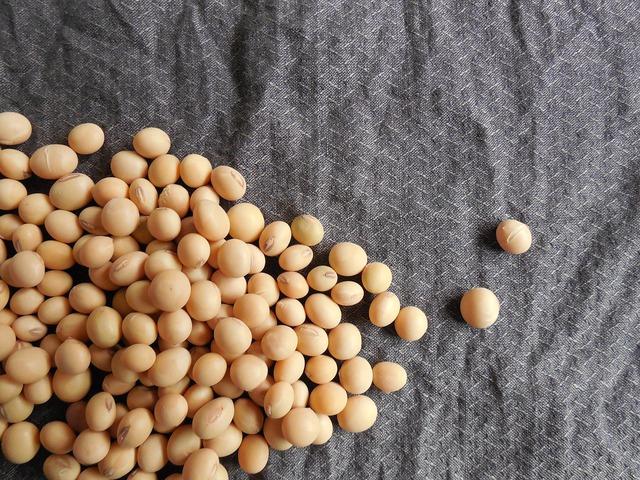 11 loại thực phẩm được ĐH Y Harvard chứng nhận có tác dụng giảm cholesterol xấu hiệu quả, ăn hàng ngày bảo vệ tim và ngừa đột quỵ- Ảnh 4.