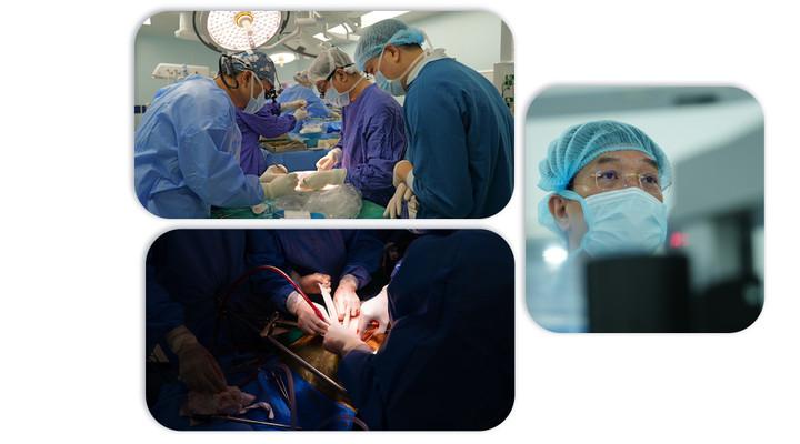 Phía sau cuộc đại phẫu cứu bé trai 15 tháng tuổi từ 'lá gan chia đôi' của người hiến chết não- Ảnh 3.