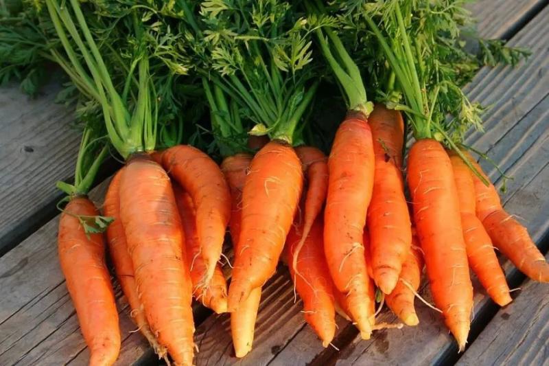 4 loại thực phẩm tích tụ cả kho vi nhựa, loại cuối cùng người Việt vẫn ăn hàng ngày- Ảnh 2.