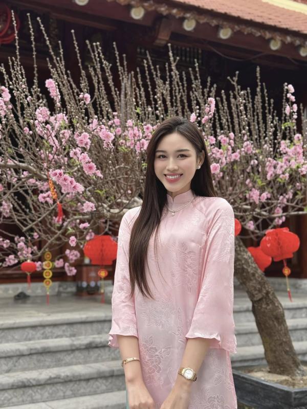 Hoa hậu Đỗ Hà vướng chỉ trích- Ảnh 4.
