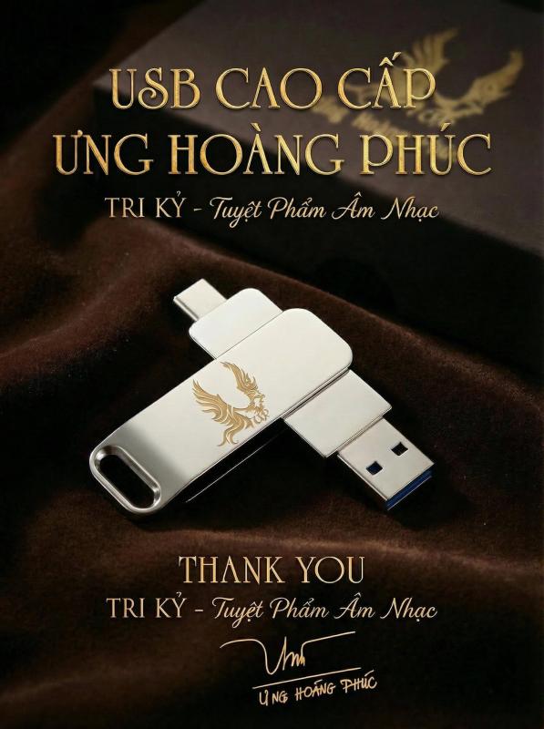 Thái độ gây tranh cãi của Ưng Hoàng Phúc- Ảnh 2.