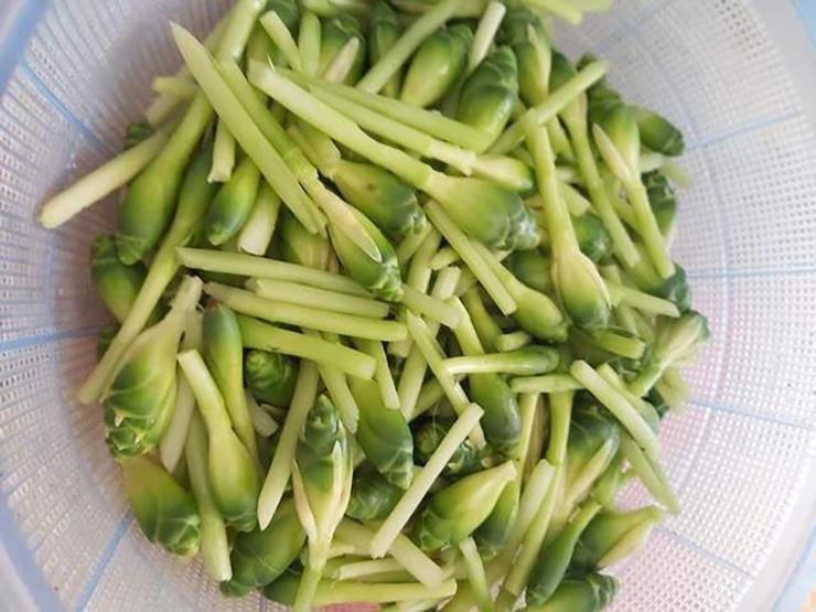 Thứ hoa tưởng vô dụng, không ngờ là món ăn lạ thơm ngon, bất ngờ gây sốt- Ảnh 6.