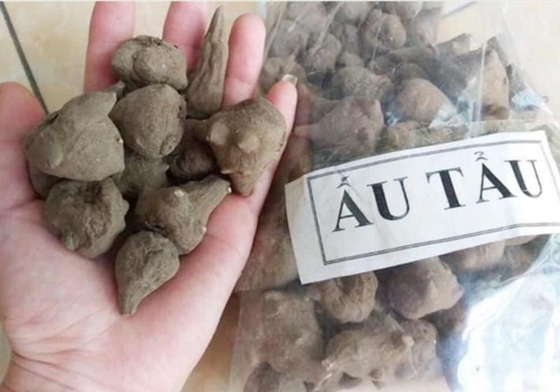Sau bát canh "quen thuộc", bệnh nhân rơi vào tình trạng ngộ độc nguy hiểm- Ảnh 1.