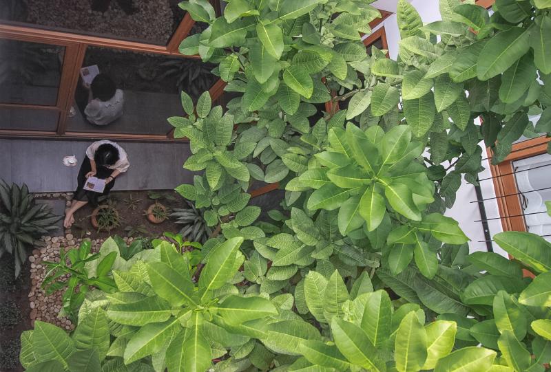 10 năm xa mẹ và món quà khiến ai cũng lặng người: Con trai xây căn nhà nhỏ gom lại cả một đời yêu thương- Ảnh 13.