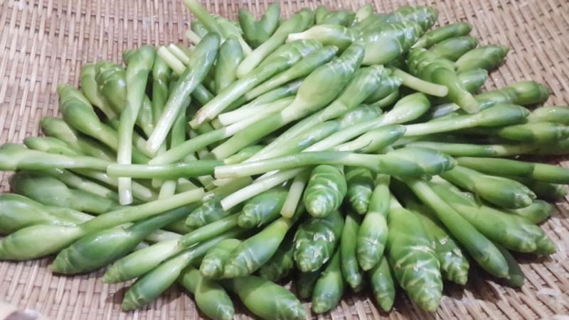 Thứ hoa tưởng vô dụng, không ngờ là món ăn lạ thơm ngon, bất ngờ gây sốt- Ảnh 1.