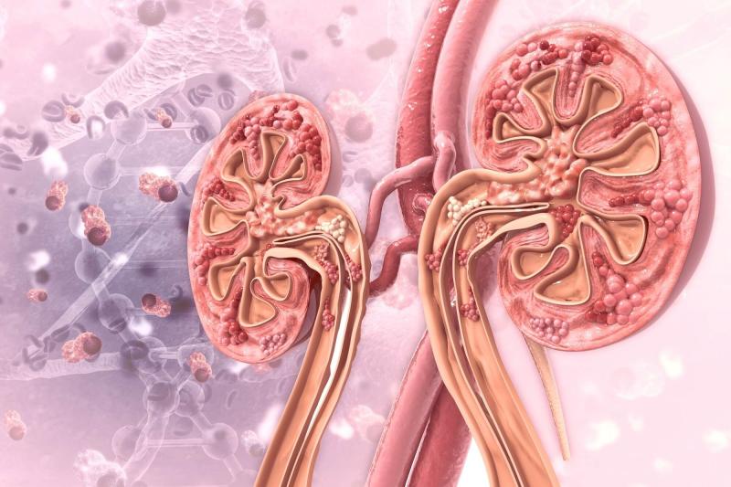 6 cách đào thải axit uric tự nhiên nhưng không phải ai cũng biết: Hỗ trợ phòng gout và bảo vệ thận- Ảnh 1.