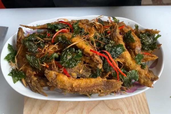Loại cá được ví như "nhân sâm dưới nước", xuất hiện trong nhiều bài thuốc Đông y- Ảnh 2.