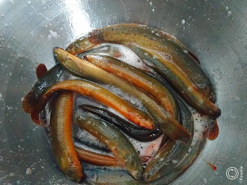 Những người lão hóa chậm thường ăn 3 món này: Nếu bạn đã nấu và ăn cả 3, thì trông trẻ hơn tuổi thật!- Ảnh 16.