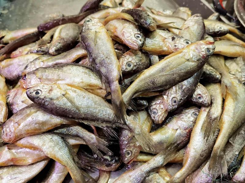 4 loại cá ngon nhất lúc này dùng nấu 4 món ăn cực thỏa mãn vị giác lại tốt để bồi bổ sức khỏe- Ảnh 9.