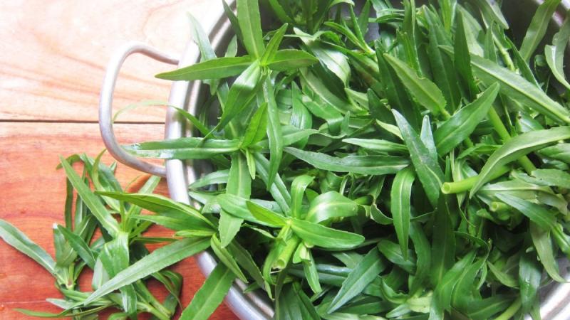 5 loại rau sống dễ “ôm ổ ký sinh trùng”, hay ăn lẩu và gỏi càng nguy hiểm- Ảnh 5.