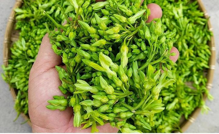 2 món rau của người Việt là 'thuốc chữa đau đầu', ăn vào ngủ ngon đến sáng- Ảnh 2.