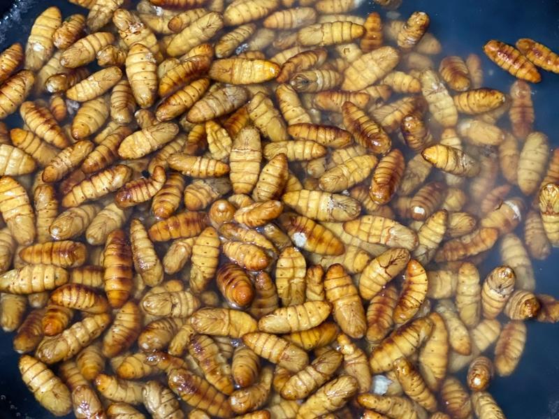Những người lão hóa chậm thường ăn 3 món này: Nếu bạn đã nấu và ăn cả 3, thì trông trẻ hơn tuổi thật!- Ảnh 1.
