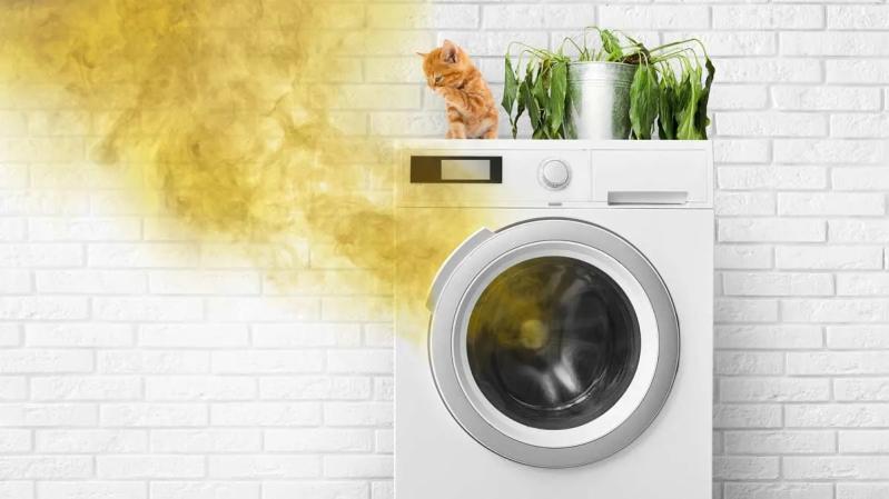 Máy giặt dễ trở thành “ổ” vi khuẩn, nấm mốc chỉ vì thói quen này- Ảnh 1.