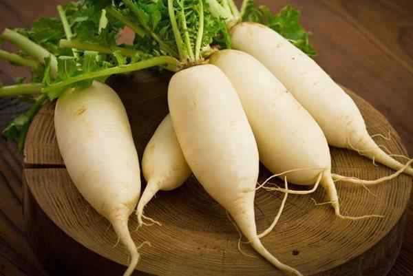 Mùa đông nhiều đờm? Chỉ cần luộc của cải với chút muối, uống nước là phổi sạch - miệng thơm ngay!- Ảnh 1.