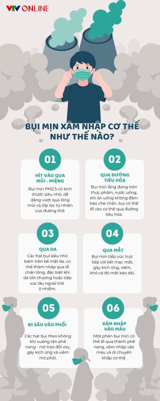Infographic: Bụi mịn xâm nhập cơ thể như thế nào?- Ảnh 2.