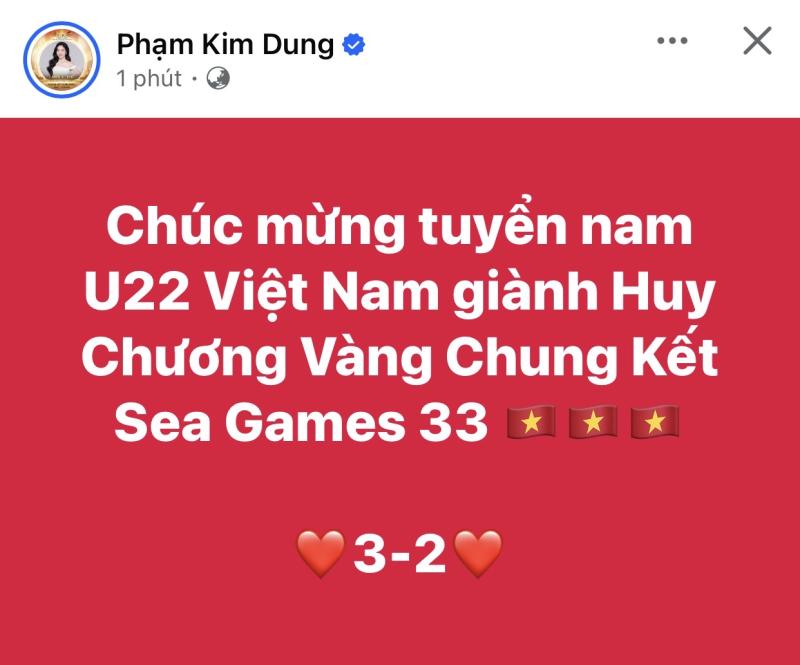 Hương Giang, Tiểu Vy và dàn sao mừng Việt Nam vô địch SEA Games 33- Ảnh 9.
