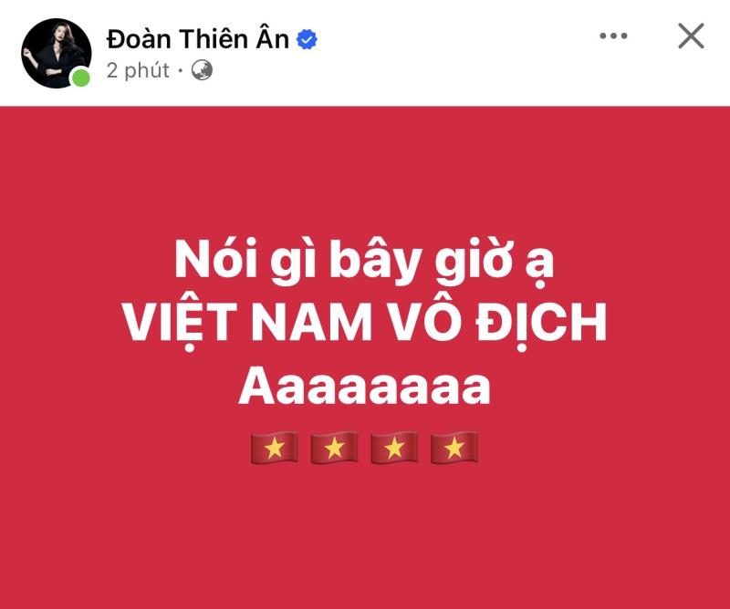 Hương Giang, Tiểu Vy và dàn sao mừng Việt Nam vô địch SEA Games 33- Ảnh 4.