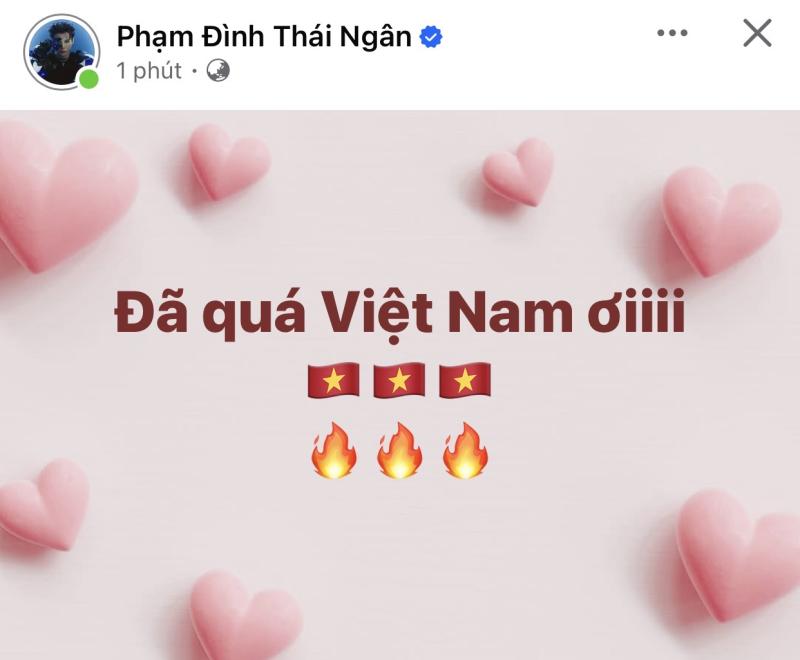 Hương Giang, Tiểu Vy và dàn sao mừng Việt Nam vô địch SEA Games 33- Ảnh 10.