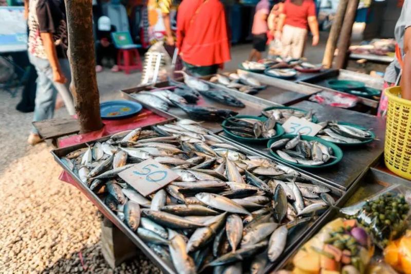 5 loại cá tự nhiên, không thể nuôi nhân tạo, thịt ngọt lại bổ như sâm- Ảnh 1.
