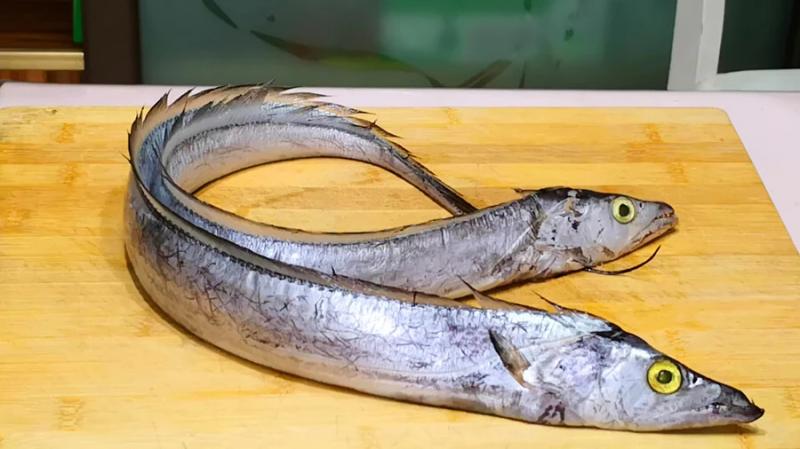 5 loại cá tự nhiên, không thể nuôi nhân tạo, thịt ngọt lại bổ như sâm- Ảnh 5.
