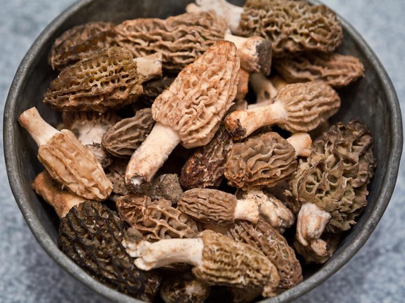 Loại nấm mọc hoang ở Việt Nam, ra nước ngoài bán tới 13 triệu đồng/kg- Ảnh 3.